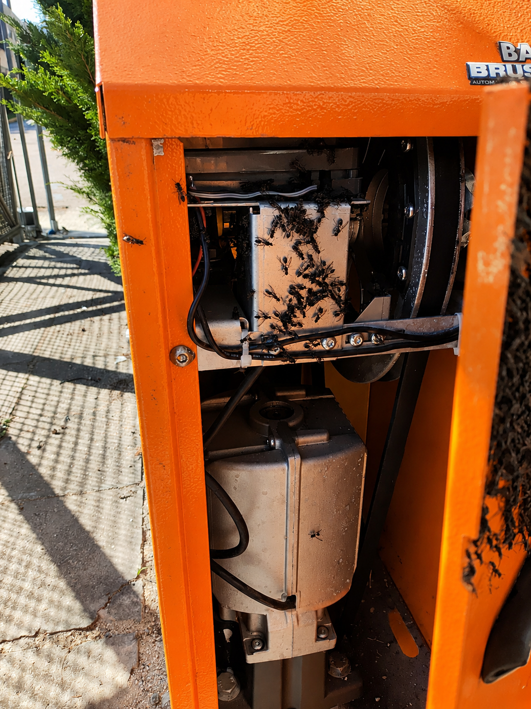 Remoção de abelhas em equipamento industrial em Curitiba