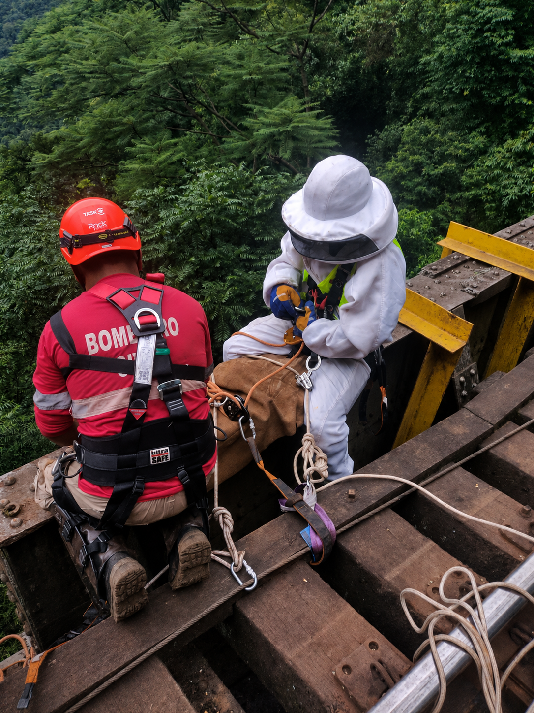 Apicultor e equipe de segurança em atendimento de abelhas em estrutura elevada